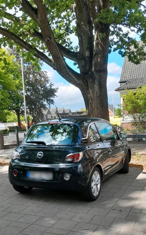 Image of Opel Adam