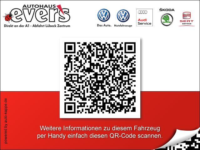 Skoda Fabia Ambition 1,0 TSI Klima Navi Sitzheizung