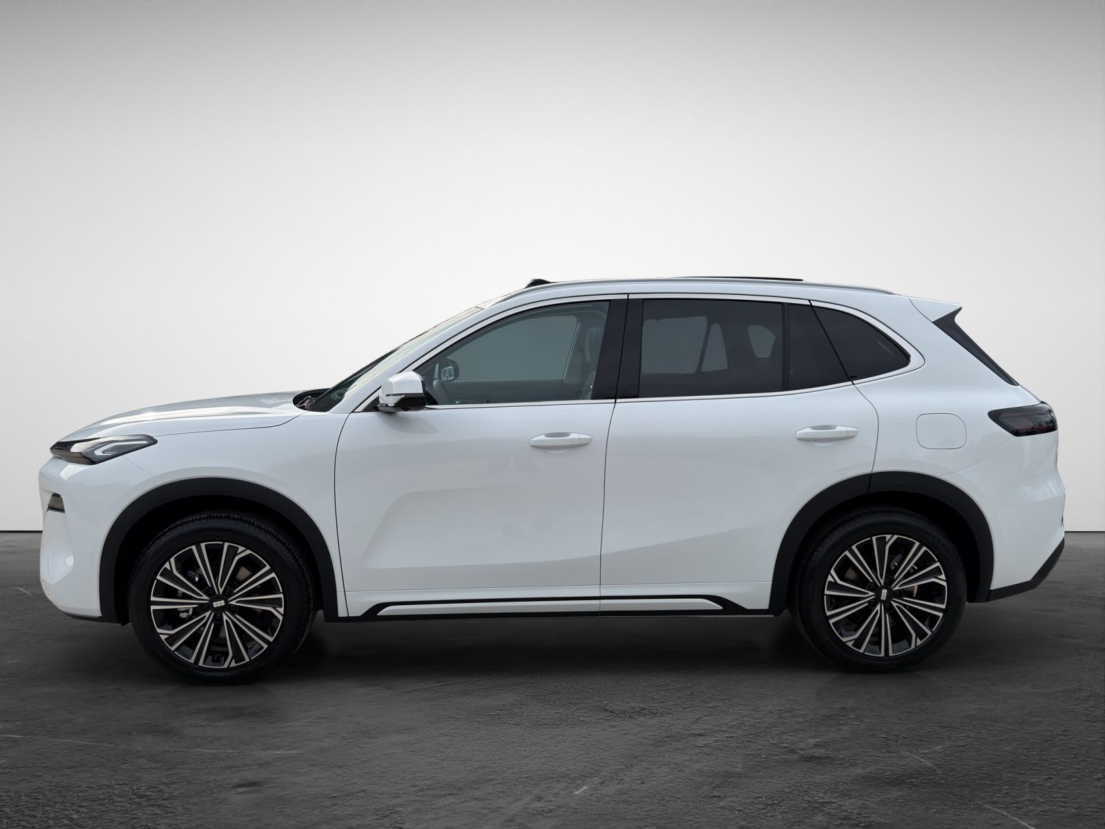 Geely Starray EM-i Max+ Max+  HeadUp Panodach Navi LED imagem 3