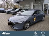 Mazda 3 Homura Kamera|NAV|Klimaaut.|SHZ|CarPlay|LED - Mazda 3 in Bielefeld