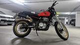 Honda Dominator NX 650 Scrambler Umbau 2.300€VB - HONDA NX 650 DOMINATOR