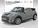 MINI Cooper Cabrio Aut. SHZ LM Klima - MINI Cooper Cabrio aus 2016