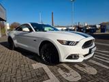 Ford Mustang 5.0  V8 GT DEUTSCH RECARO SCHALTER
