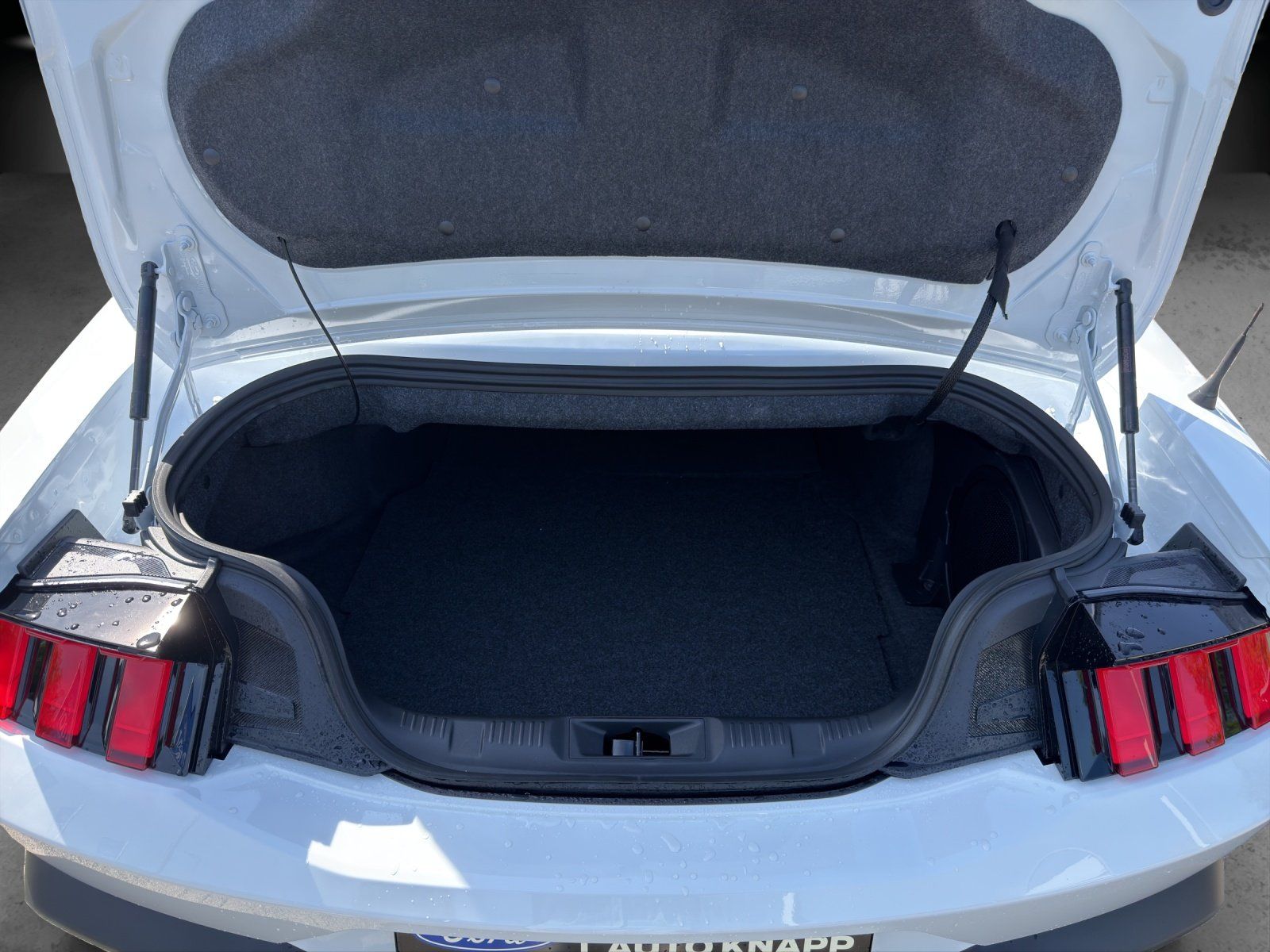 Fahrzeugabbildung Ford Mustang Convertible GT 446PS MagneRide
