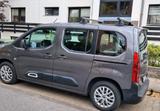 Citroën Citroen Berlingo M feel Pure Tech 110  1.t... - Citroën Berlingo in Aachen