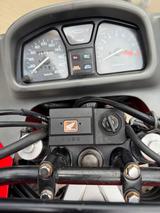 Honda Transalp 600 V - HONDA TRANSALP 600