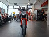 Ducati Monster Red 2026 duc-leasing.de Lieferung inkl. - DUCATI NEU