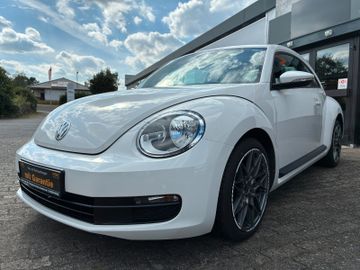 Volkswagen Beetle - 7