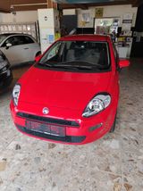Fiat Punto 1.2 8V - - Fiat Punto: Rot