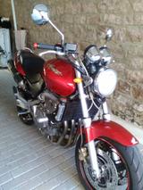 Honda Hornet CB 600 F - HONDA 1999 HORNET