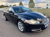 Jaguar XF 3.0 V6 Diesel Edition Navi+Camera/Leder/AHK - Jaguar XF in Köln