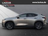 Lexus NX 350h h 243 PS Executive Inter ieur Paket + Te - Lexus NX 350h SUV