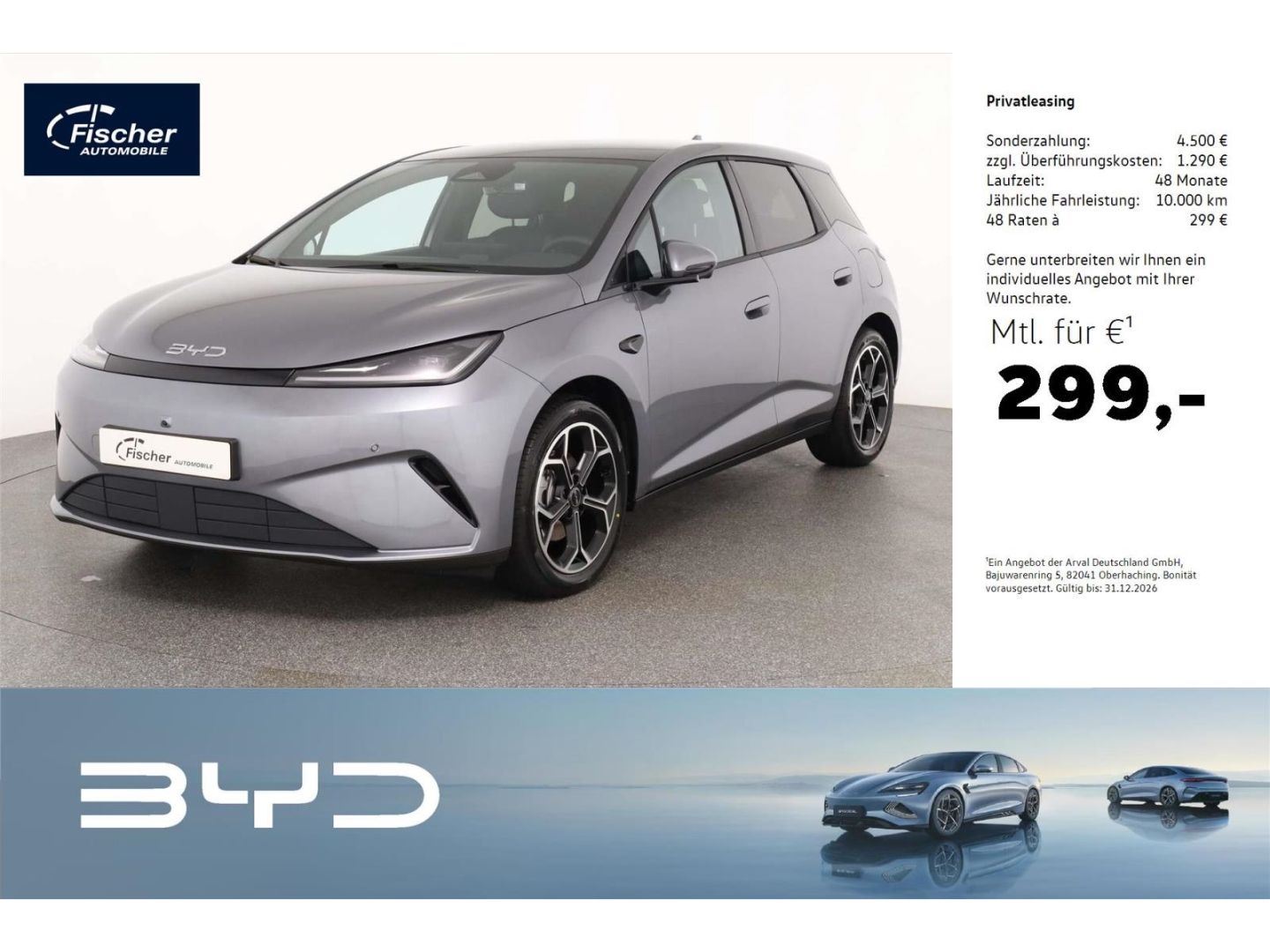 BYD DOLPHIN