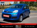 Fiat Panda Pandina 1.0 GSE Hybrid 48 kW Icon*NW*TZ - Fiat Panda Gebrauchtwagen in Dortmund