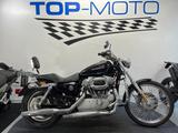 Harley-Davidson XL 883 C Custom Tüv 11.2025**Chrombügel - Offers matching your search criteria