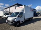 Fiat Ducato Koffer LBW 750kg - Pkw-Anhänger 750 kg