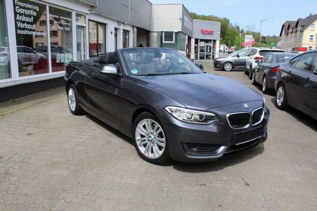 BMW 220 d Cabrio Navi Xenon Teilleder Tüv 9/2026