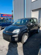 Fiat Panda,   3.700 Km, Klima, Allwetter, ZV, LED - Fiat Panda Gebrauchtwagen in Krefeld