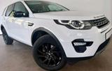 Andere Discovery Sport HSE - Andere