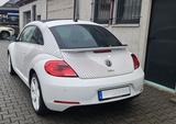 Volkswagen Beetle 1.4 TSI DSG BMT ALLSTAR TOP - Volkswagen Beetle: Weiß