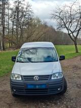 Volkswagen VW Caddy Life 1.6, 102PS Benziner, Camping... - Volkswagen Caddy: Camping