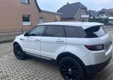 Land Rover Range Rover Evoque 2.2 SD4 Automatik Britain... - Land Rover Range Rover Evoque