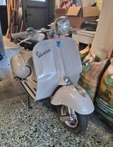 Vespa Acma Wideframe keine Faro Basso - VESPA ACMA
