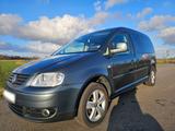 Volkswagen VW Caddy Maxi Life 1,9 TDI, 5-sitzer, Roll... - Volkswagen Caddy Maxi aus 2009