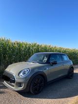 MINI Cooper CHILI - Mini Cooper von privat