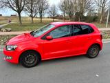 Volkswagen Polo 1.2 TSI -Highline - Volkswagen Polo aus 2010: Highline