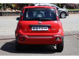 Fiat Panda CROSS RED 1.0 GSE HYBRID CITY PAKET PDC DA - Fiat Panda: Rot