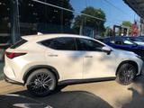 Lexus NX 350h Luxury Line *Pano*LED*Navi*Leder*360° - Lexus NX Series in Bremen