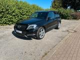 Mercedes-Benz Mercedes Benz GLK 250 CDI Bluetec - : Mercedes Glk