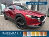Mazda CX-30 Homura LogIn Spurhalteassi Sitzheizung Not - Mazda CX-30 Neuwagen