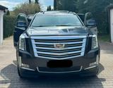 Cadillac Escalade 6.2 V8 Platinum | 1. Hand | Bose | Top - Cadillac Escalade: 6.2