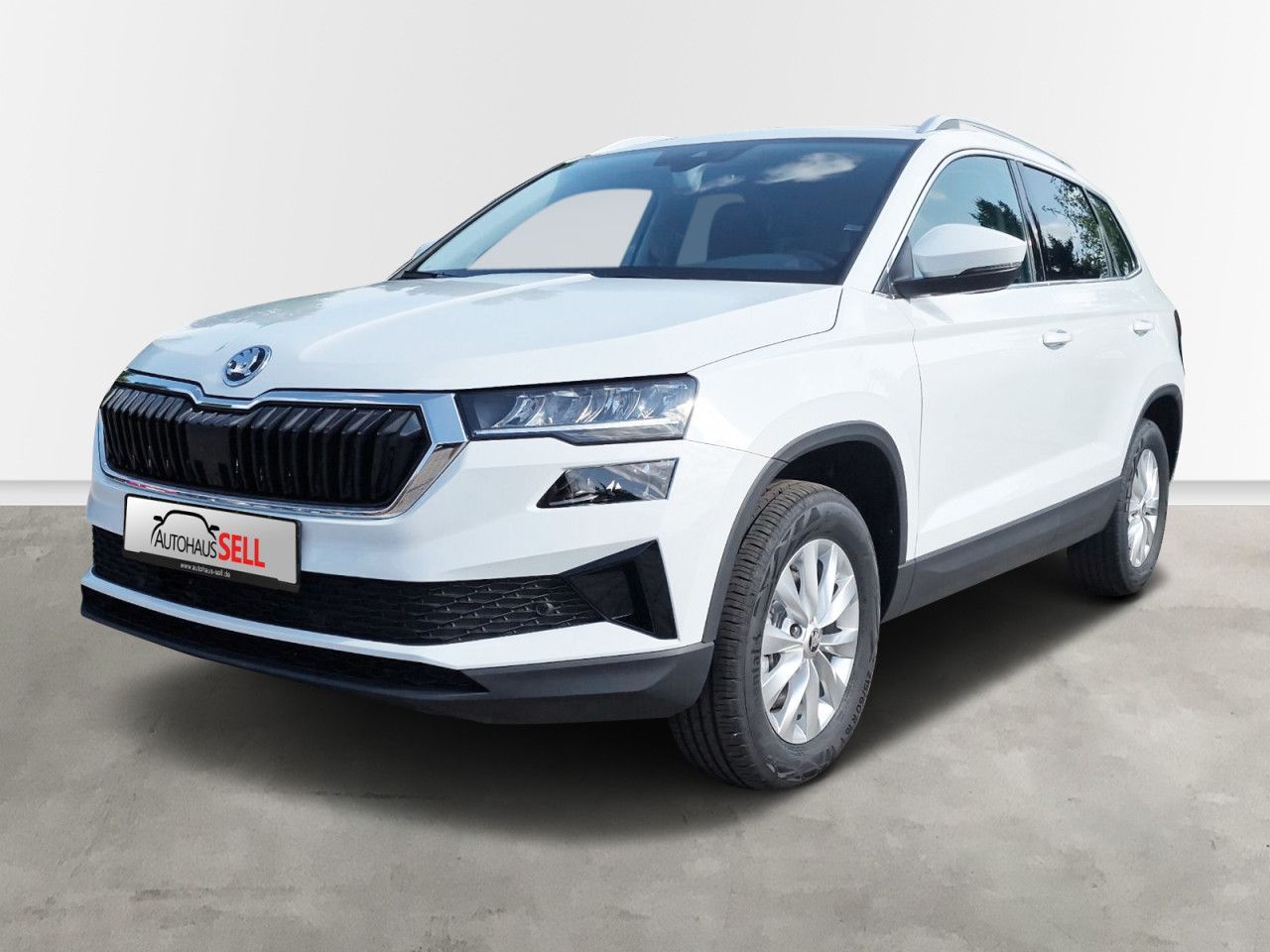 Fahrzeugabbildung SKODA Karoq Ambition TD110/2.0A7A, Allrad, Navi