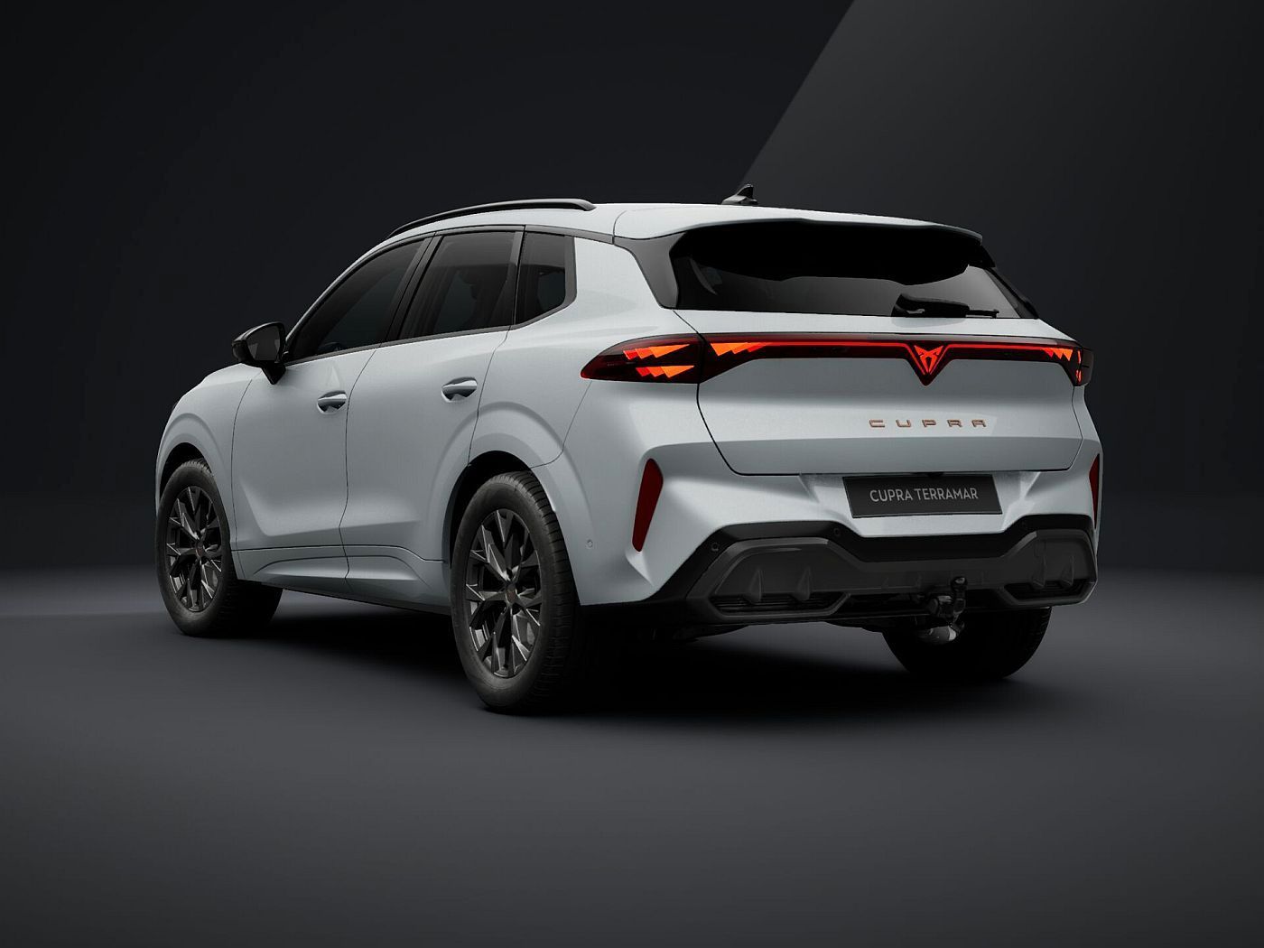 Cupra Terramar - Bild 4