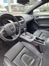 Audi A5 3.0 TDI (DPF) S tronic quattro Sportback - - Audi A5 aus 2009: Sportback