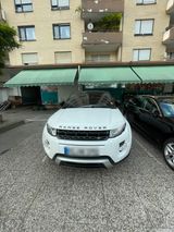 Andere Range Rover - Andere mit Benzin-Antrieb: Geländewagen