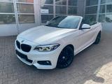 BMW 230i M Sport/Automatik/Leder/H&K/LED/NaviProf - BMW 230 Cabrio Gebrauchtwagen