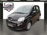Fiat Panda Pandina - Fiat Panda Pandina mit Benzin-Antrieb