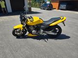 Honda Hornet CB600F Damenfahrzeug! - HONDA 2001 HORNET 600