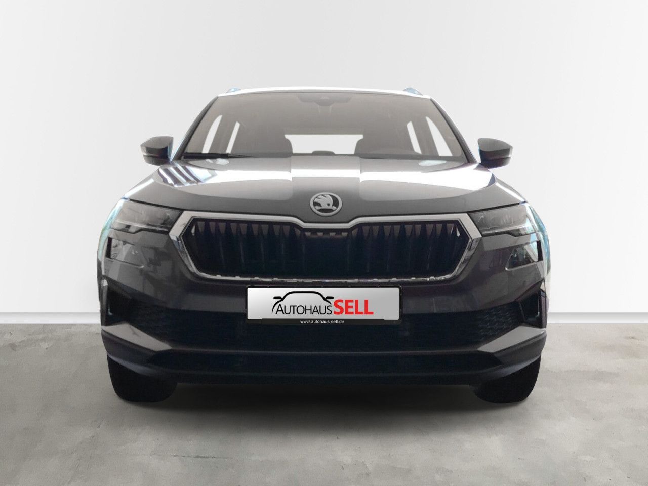 Fahrzeugabbildung SKODA Karoq Selection S110/1.5A7F, AHK