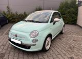 Fiat 500 1.2 8V Cult Cult - Fiat 500: Cult