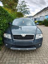 Skoda Octavia 2.0 TDI 4x4 Scout Combi Scout - Skoda Octavia aus 2008: Scout