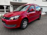Volkswagen Caddy Maxi - Volkswagen Caddy Maxi in Bielefeld