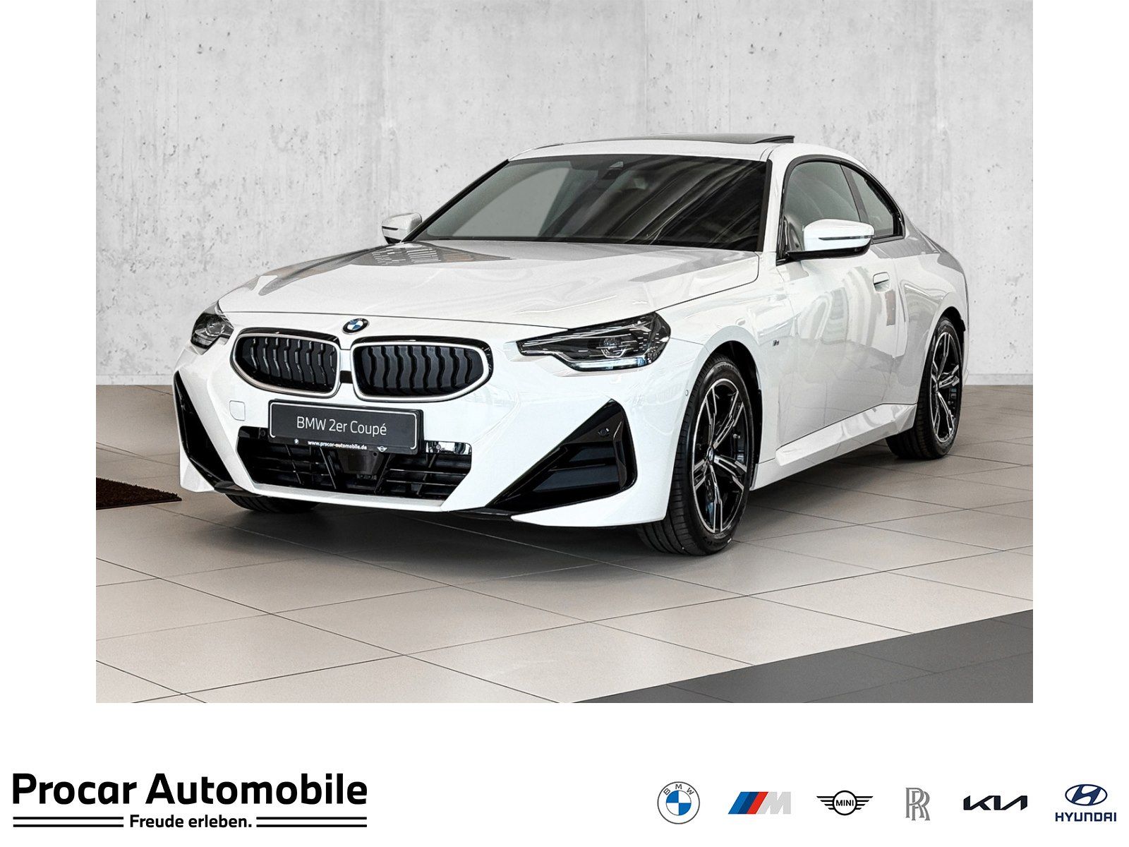 BMW 218i Coupé M Sport RFK NAVI LED PDC V+H DAB LM