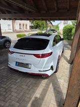 Kia pro cee'd / ProCeed GT (Bastuck) - Kia pro cee'd / ProCeed aus 2022