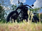 Harley-Davidson Softail Slim - HARLEY-DAVIDSON SOFTAIL