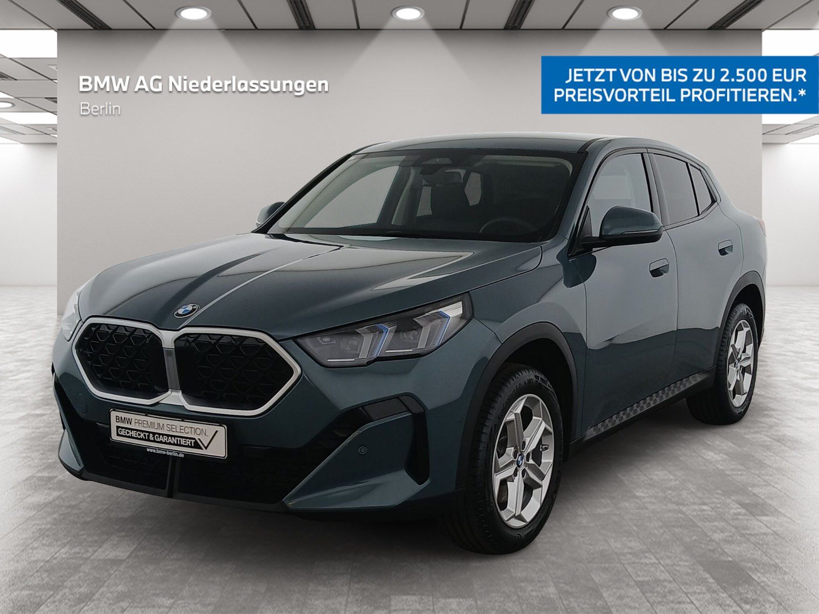 BMW X2 sDrive20i Navi Harman/K Kamera Driv.Assist